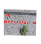 つぶやくリアルのカエルのスタンプ（個別スタンプ：37）
