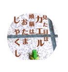 つぶやくリアルのカエルのスタンプ（個別スタンプ：38）