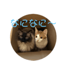 猫の気持ちだニャン（個別スタンプ：3）
