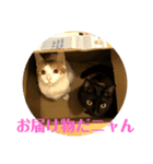 猫の気持ちだニャン（個別スタンプ：4）