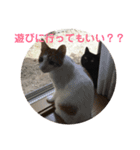 猫の気持ちだニャン（個別スタンプ：7）