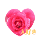 花色（個別スタンプ：1）