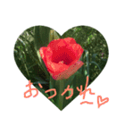 花色（個別スタンプ：2）