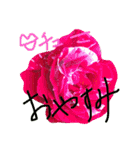 花色（個別スタンプ：16）