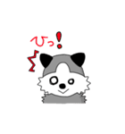 シベリアンハスキーちょんちゃん（個別スタンプ：6）