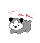 シベリアンハスキーちょんちゃん（個別スタンプ：9）