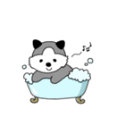 シベリアンハスキーちょんちゃん（個別スタンプ：12）