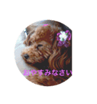 まりんの生活（個別スタンプ：3）