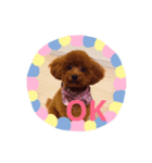 まりんの生活（個別スタンプ：5）