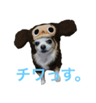 コタサスランスタンプ（個別スタンプ：3）