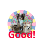 コタサスランスタンプ（個別スタンプ：12）