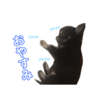 オクラくんです。（個別スタンプ：2）