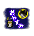 日常ラブリー三毛猫＆コーギー（個別スタンプ：2）
