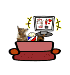 日常ラブリー三毛猫＆コーギー（個別スタンプ：34）