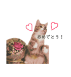 日常使いしやすい4匹の猫スタンプ（個別スタンプ：28）