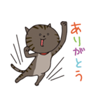 猫のショコラ（個別スタンプ：1）