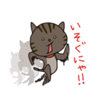 猫のショコラ（個別スタンプ：6）