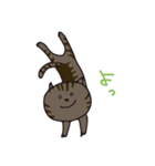 猫のショコラ（個別スタンプ：7）