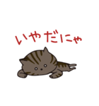 猫のショコラ（個別スタンプ：8）
