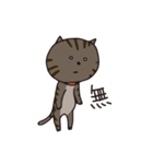 猫のショコラ（個別スタンプ：14）