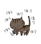 猫のショコラ（個別スタンプ：16）