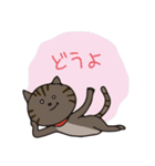 猫のショコラ（個別スタンプ：17）