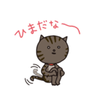 猫のショコラ（個別スタンプ：18）
