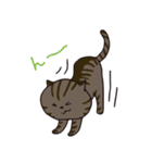 猫のショコラ（個別スタンプ：23）