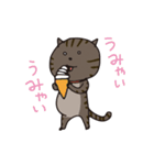 猫のショコラ（個別スタンプ：25）