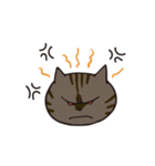猫のショコラ（個別スタンプ：28）