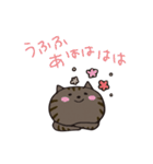 猫のショコラ（個別スタンプ：29）
