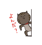 猫のショコラ（個別スタンプ：38）