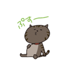 猫のショコラ（個別スタンプ：39）