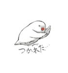 ゆるいインコと文鳥ズ（個別スタンプ：7）
