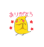 ゆるいインコと文鳥ズ（個別スタンプ：11）
