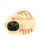 にゃんこ行事（個別スタンプ：5）