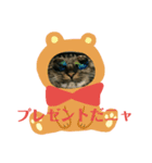 にゃんこ行事（個別スタンプ：8）