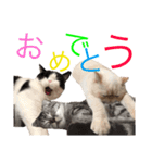 ねこの愉快なおともだち（個別スタンプ：1）