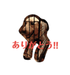 ワンコ'sスタンプ（個別スタンプ：6）