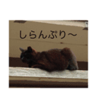 なごむスタンプ（個別スタンプ：1）