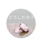 なごむスタンプ（個別スタンプ：2）