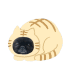 ペキニーズ にぶたん（個別スタンプ：23）