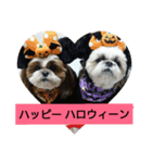 nana-coco（個別スタンプ：1）