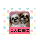 nana-coco（個別スタンプ：2）