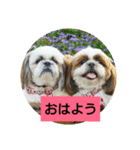 nana-coco（個別スタンプ：6）