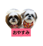 nana-coco（個別スタンプ：7）