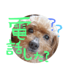 まろまろまろすけ（個別スタンプ：5）