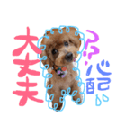 まろまろまろすけ（個別スタンプ：9）