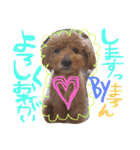 まろまろまろすけ（個別スタンプ：14）