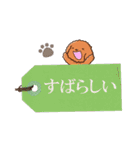 やさしいトイプードル【メモ書き編】（個別スタンプ：31）